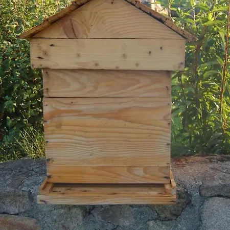 Un Instant De Bonheur